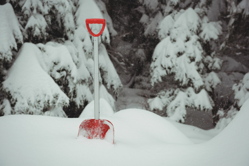 Winterdienste in ' + d.city + ' Professionelle Reinigungsfirma für Winterdienste